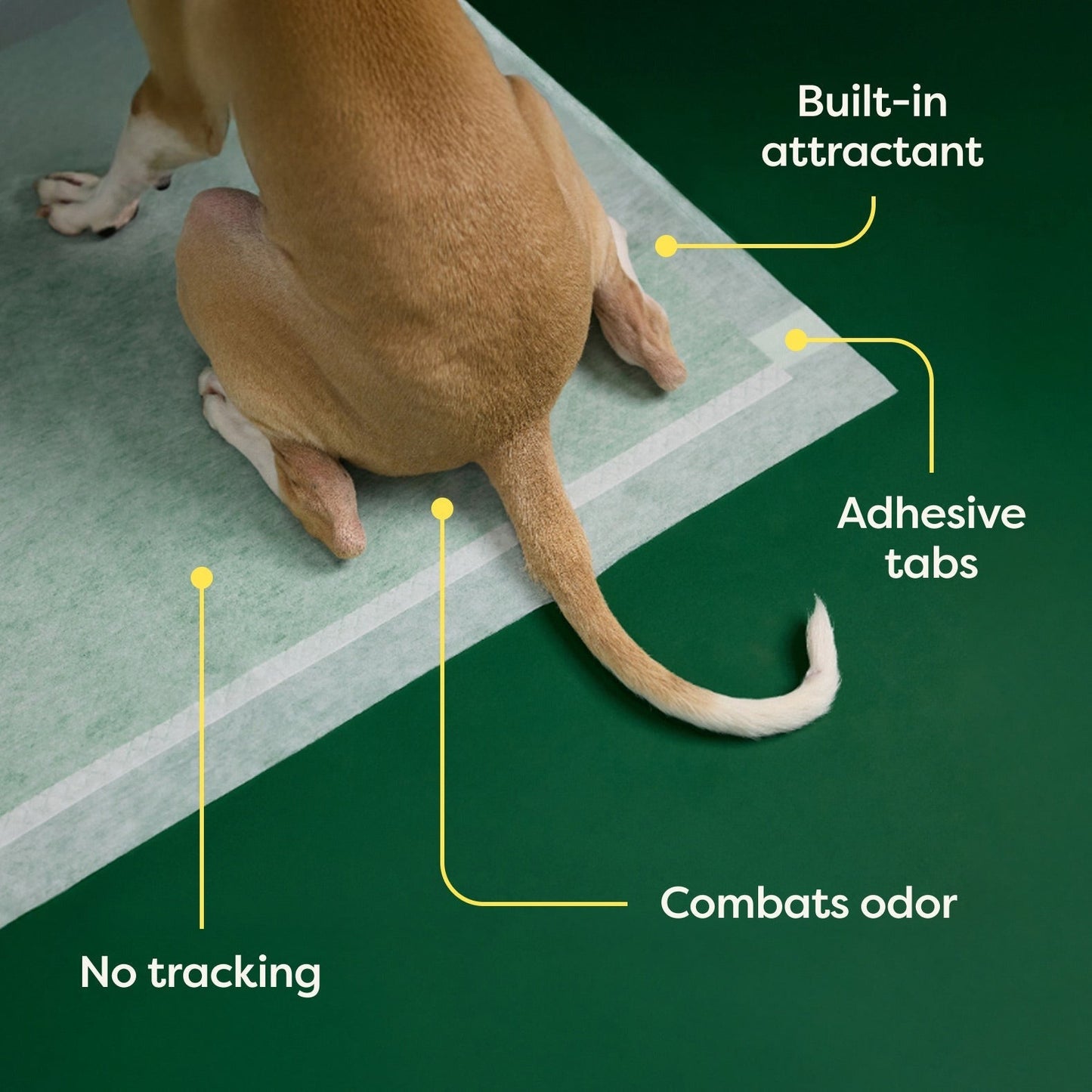 Dog Pee Pads - Ultra Absorbent Training Pads with AbsorbShieldTM+ Technology | 2X Faster Absorption