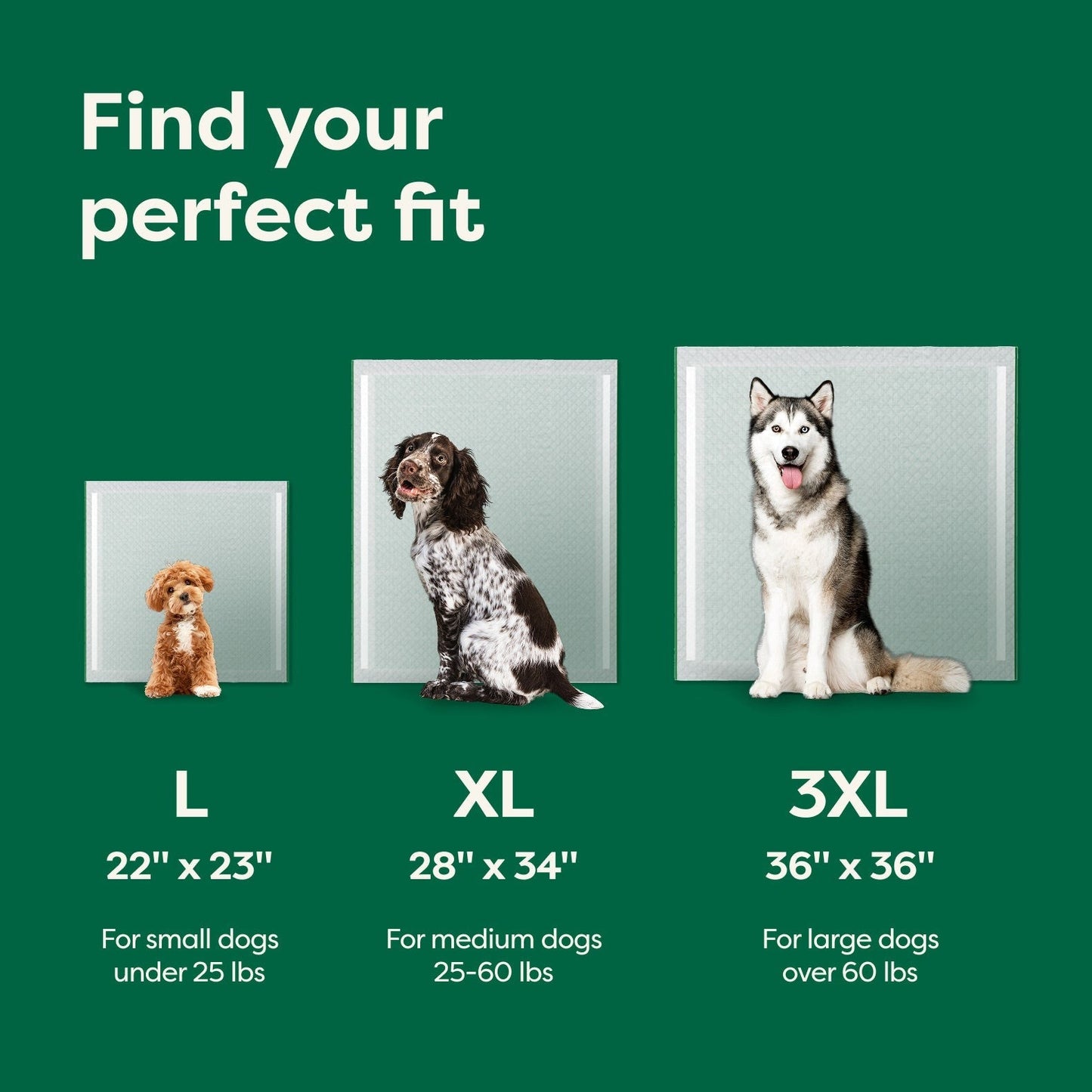 Dog Pee Pads - Ultra Absorbent Training Pads with AbsorbShieldTM+ Technology | 2X Faster Absorption