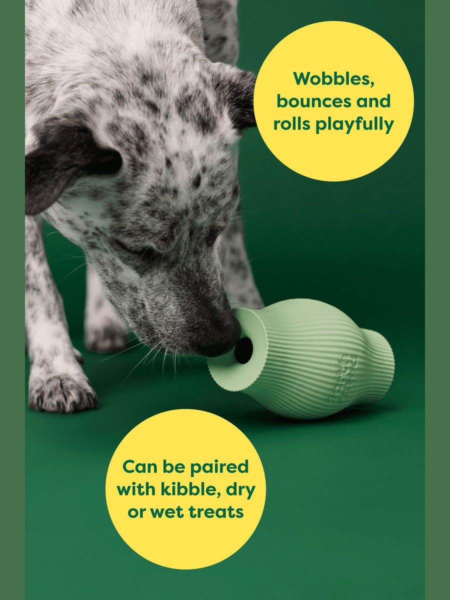 Treat Toy